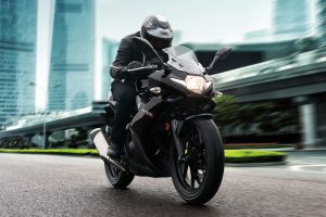 GSX250RAL8_Action_1