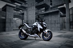 GSX-S750YAL9_YWW_action08