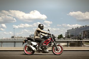 SV650AL8_Action_10