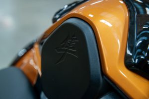 Busa_Detail_Seat_Hump_2