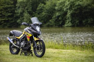 Suzuki_VStrom_24.6.22_R3JM5075