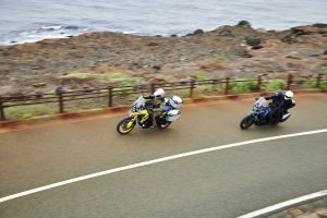 DL1050RR_RJM3_action_98.jpg