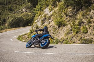 Suzuki-GSX_S8_0660.jpg