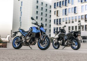 Suzuki-GSX_S8_1235.jpg