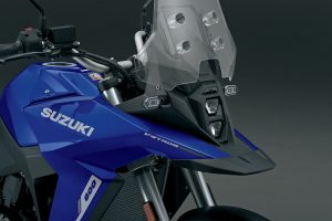 DL800RQM4_beak-1.jpg