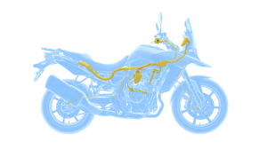 DL800RQM4_traction_control.png