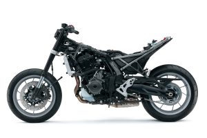 GSX800FRQM4_strip_2.jpg