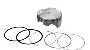 007_PistonPiston_RIng.png