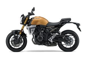 GSX800TRQM6_QSY_Lside.jpg