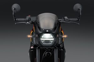 GSX800TTRQBM6_Headlight_Lo.jpg