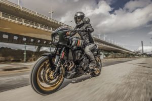 Suzuki-800TT-T-2777.jpg