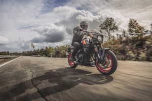 Suzuki-800TT-T-5062.jpg