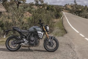 Suzuki-800TT-T-5895.jpg