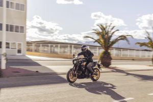 Suzuki-800TT-T-7054.jpg
