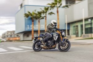 Suzuki-800TT-T-8466.jpg
